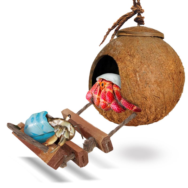 SunGrow Hermit Crab Coco Hut with Ladder, Hamster & Hermit Crab Hideout, Coconut Hide for Reptiles, Crab Cage Climbing Toys, Coconut Shell Mouse House, Habitat Tank Accessories, 5" - Image 1